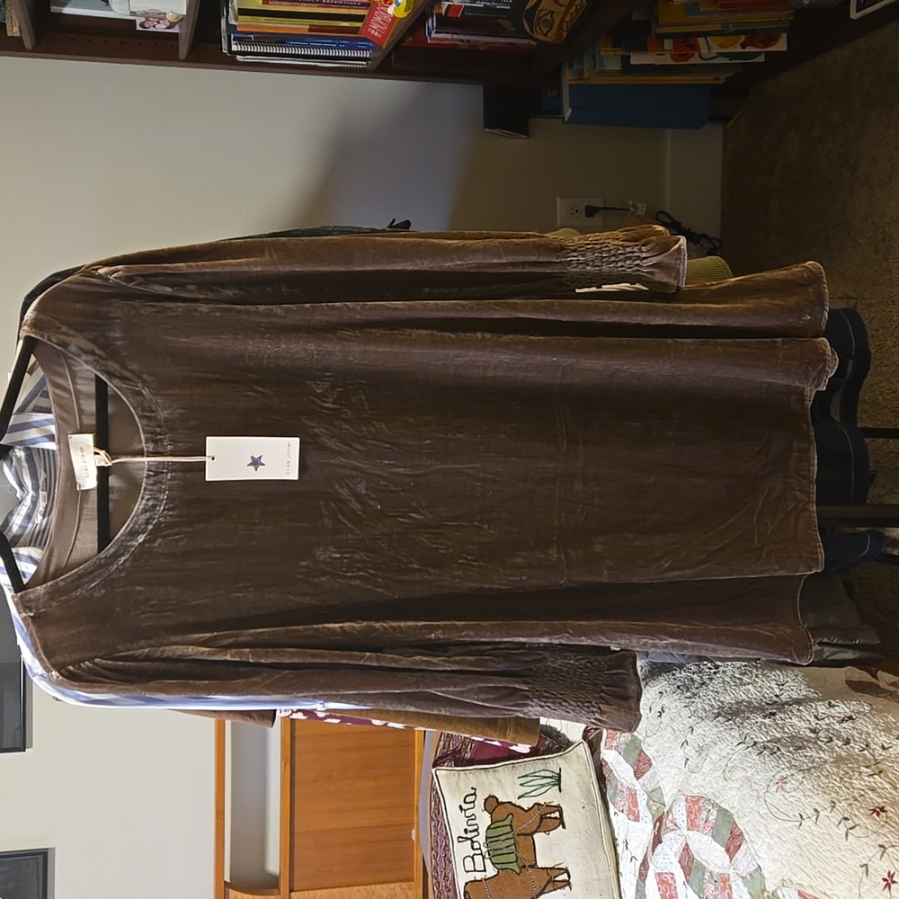 NWT Dear John Velvet Dress